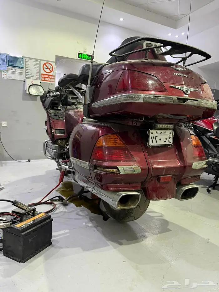 قولد وينق 2005 3