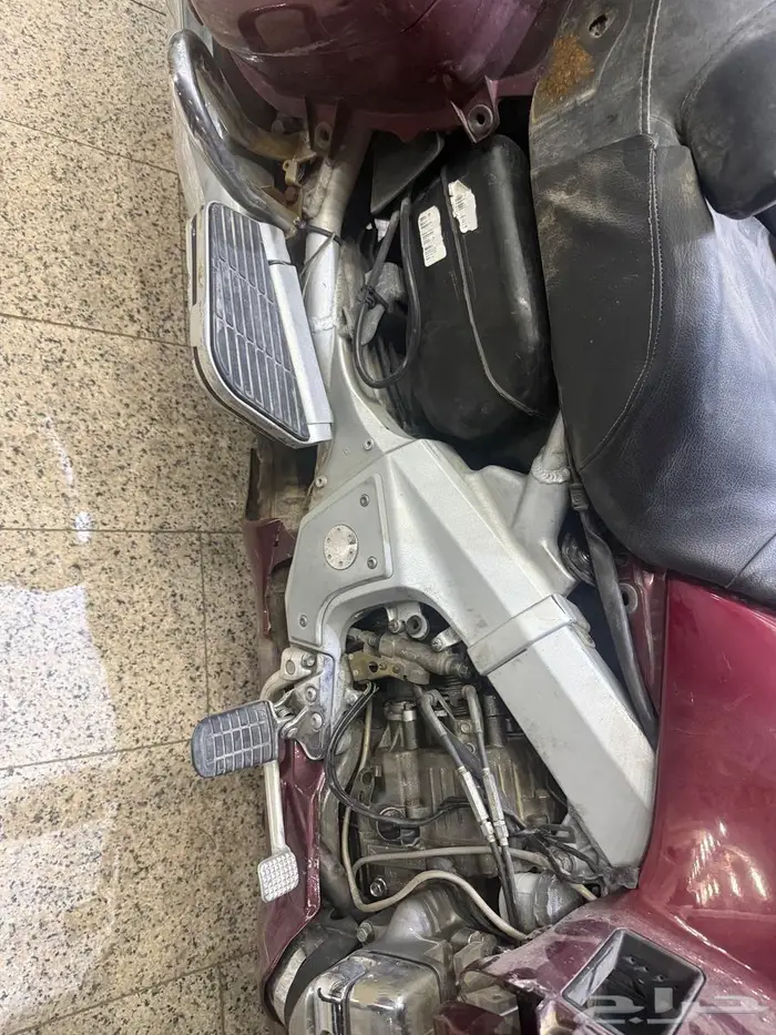 قولد وينق 2005 8