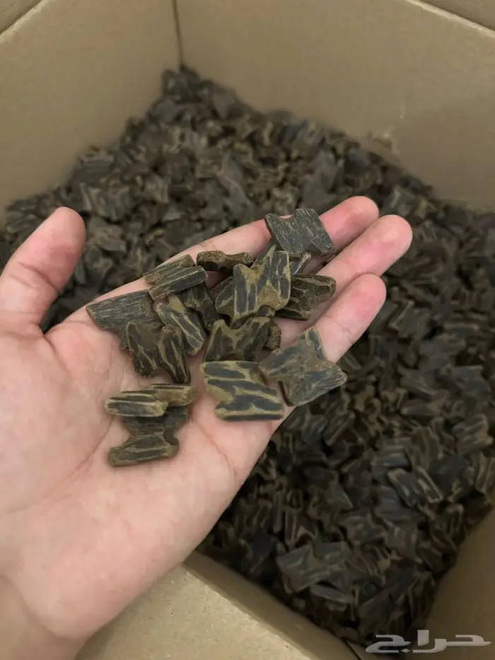 عرض تصفيه على عود فاخر 0