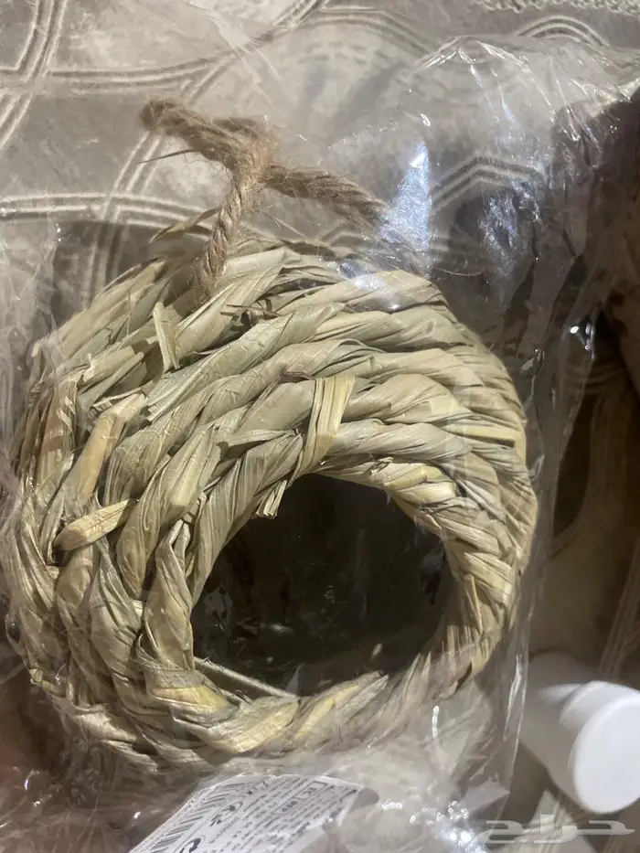 بيض الاريتيميا وعش طيور 1