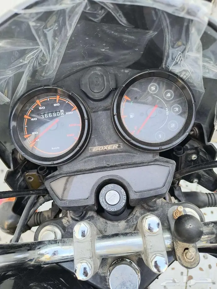 12 دباب للبيع بوكسر هندي واثنين سواد 3