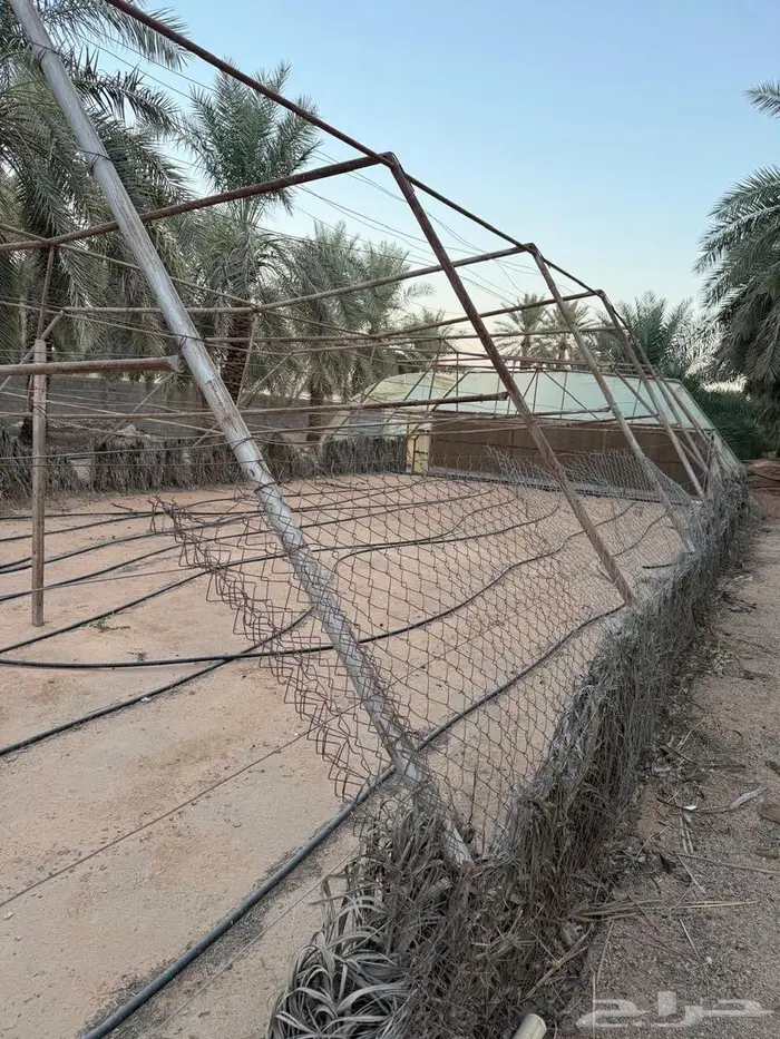 بيوت محميه مستعملة مع مراوح 1