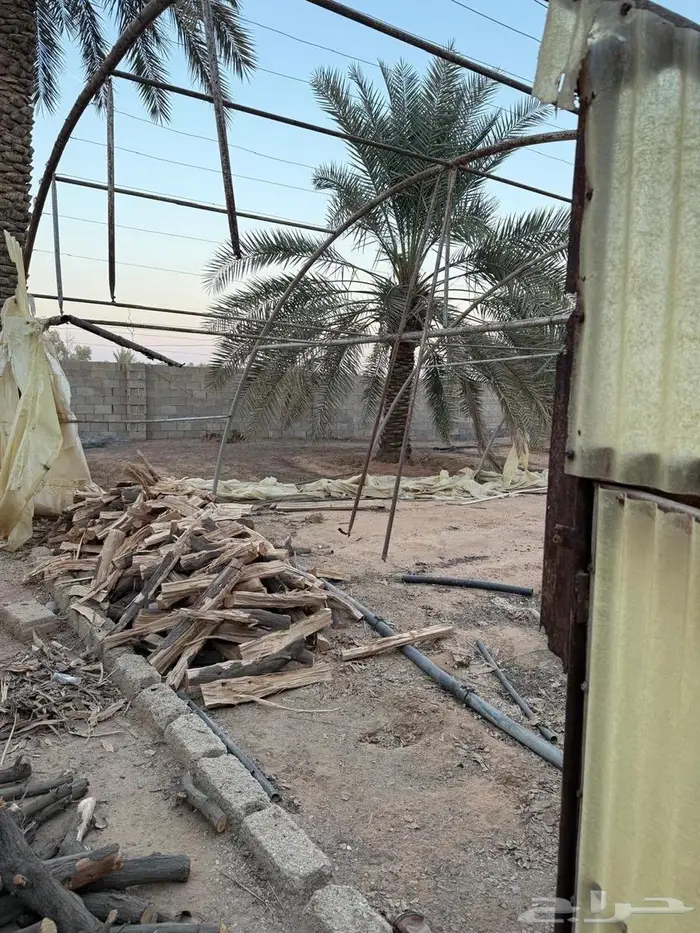 بيوت محميه مستعملة مع مراوح 7