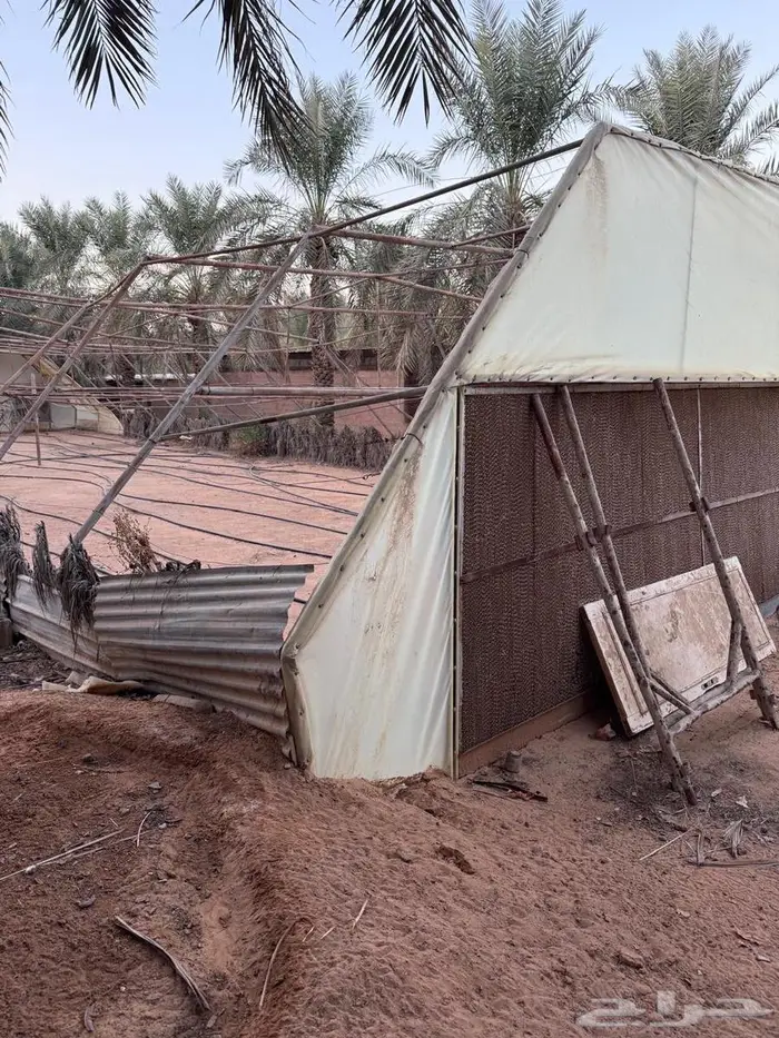 بيوت محميه مستعملة مع مراوح 4