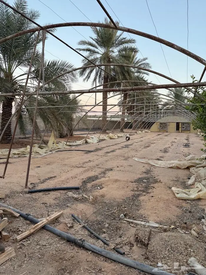 بيوت محميه مستعملة مع مراوح 6