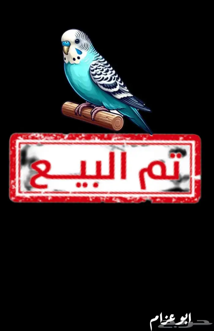 هامستر روسي قزم 0