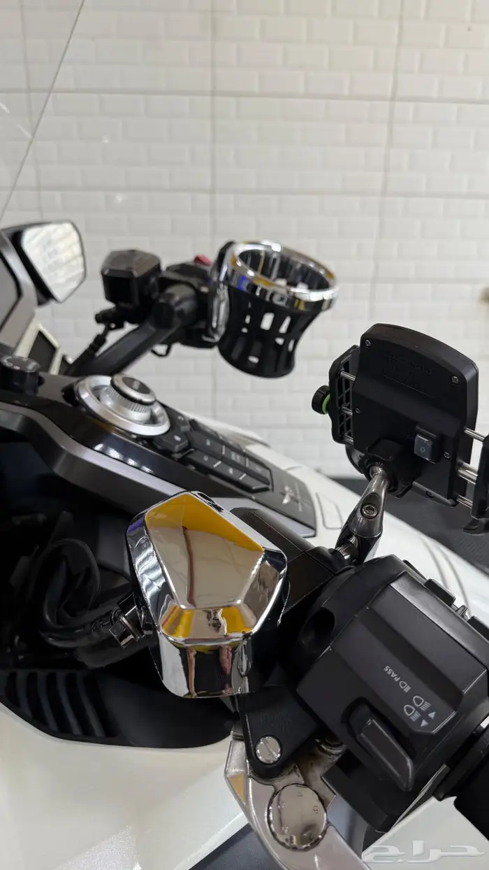 قولد وينق 2019 سعودي 3