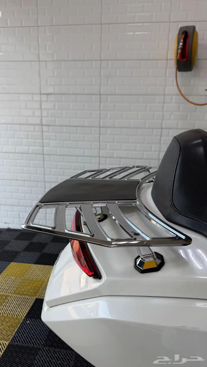 قولد وينق 2019 سعودي 13