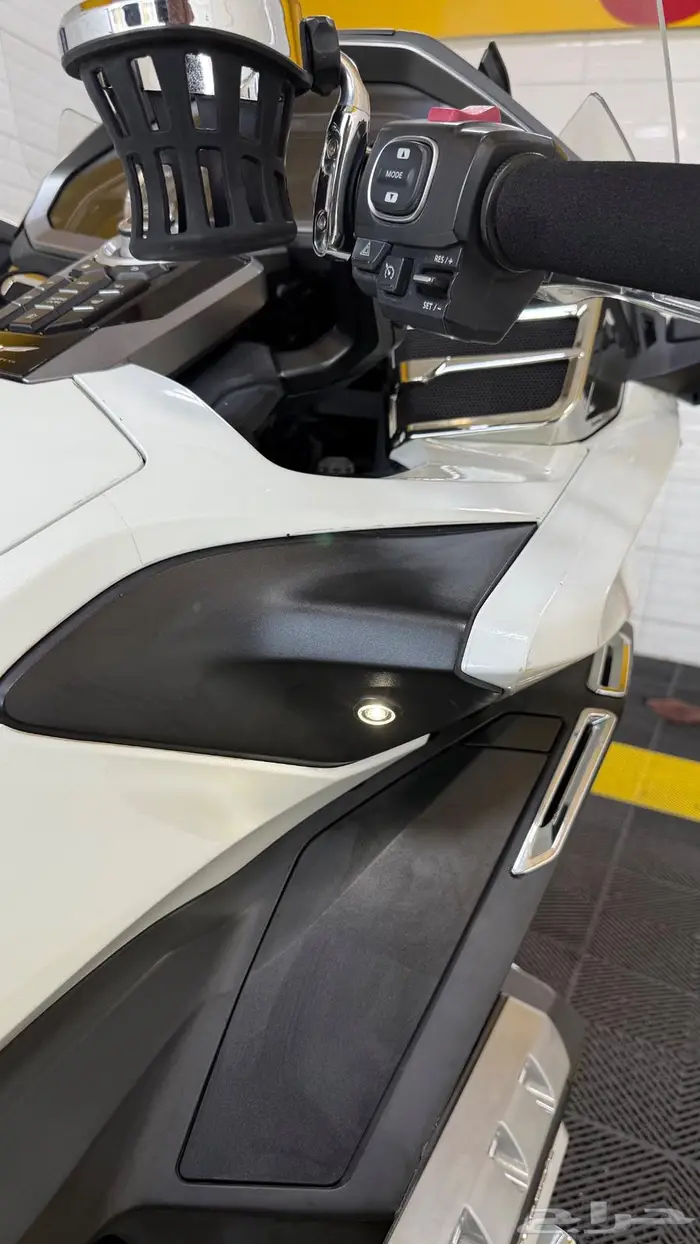 قولد وينق 2019 سعودي 14