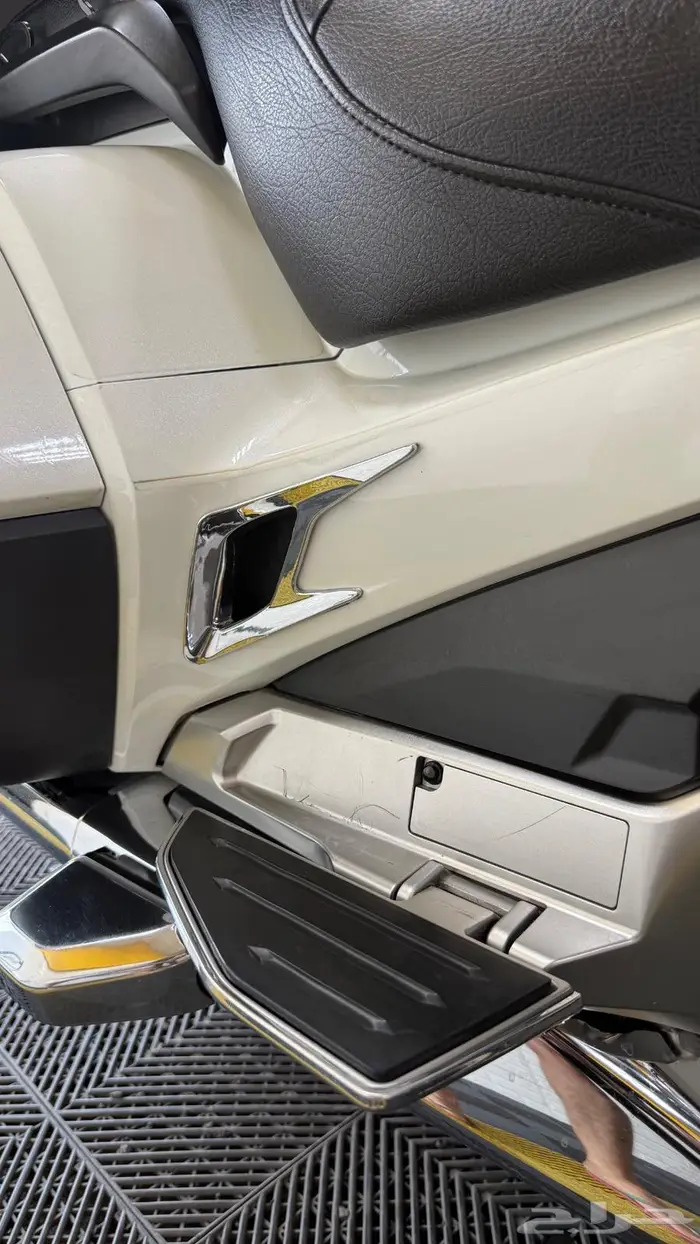 قولد وينق 2019 سعودي 19