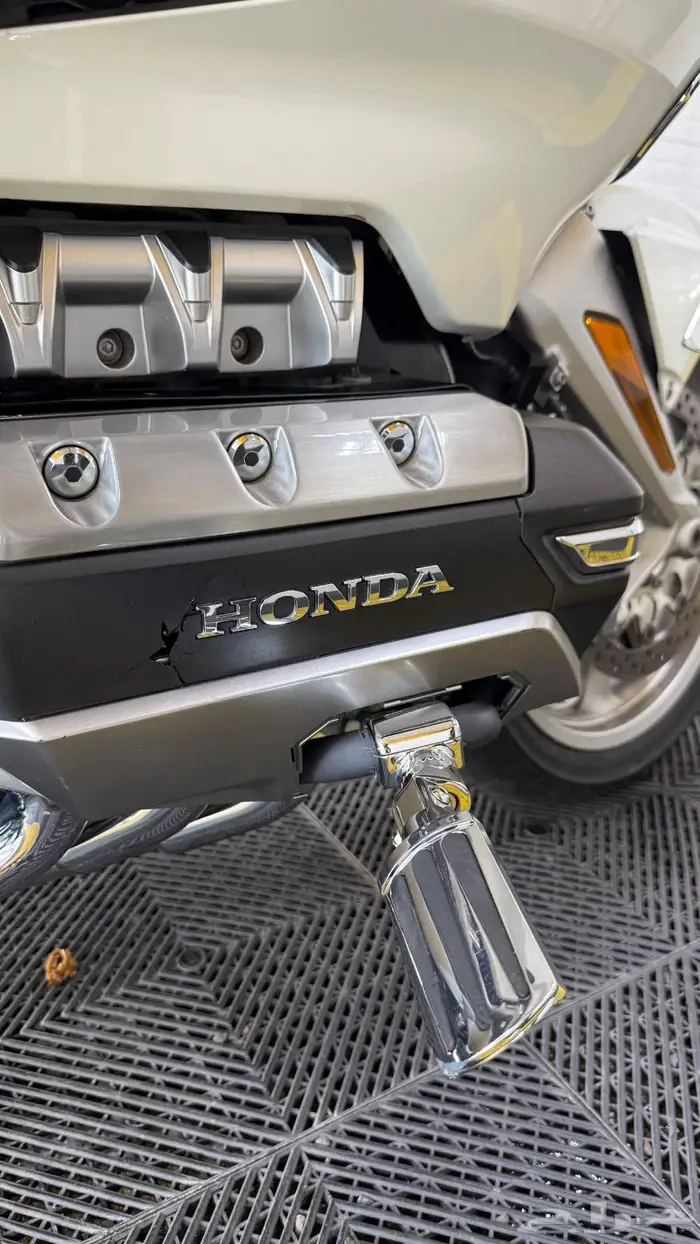 قولد وينق 2019 سعودي 15