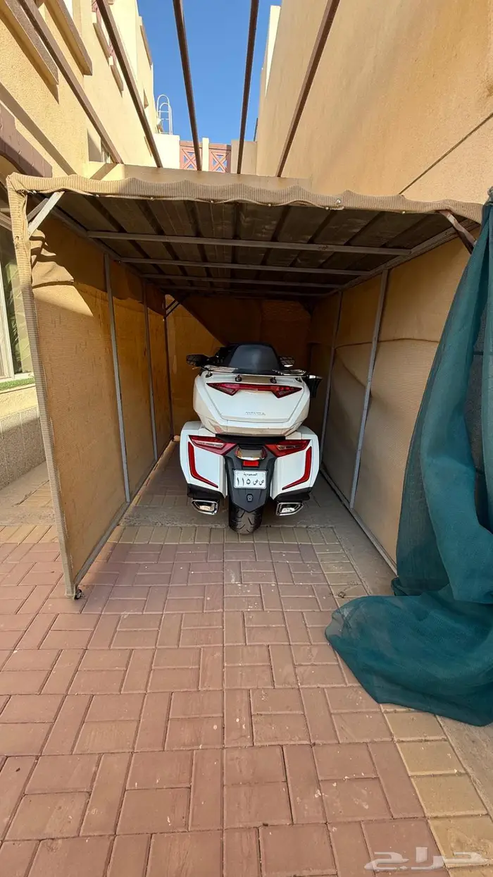 قولد وينق 2019 سعودي 24