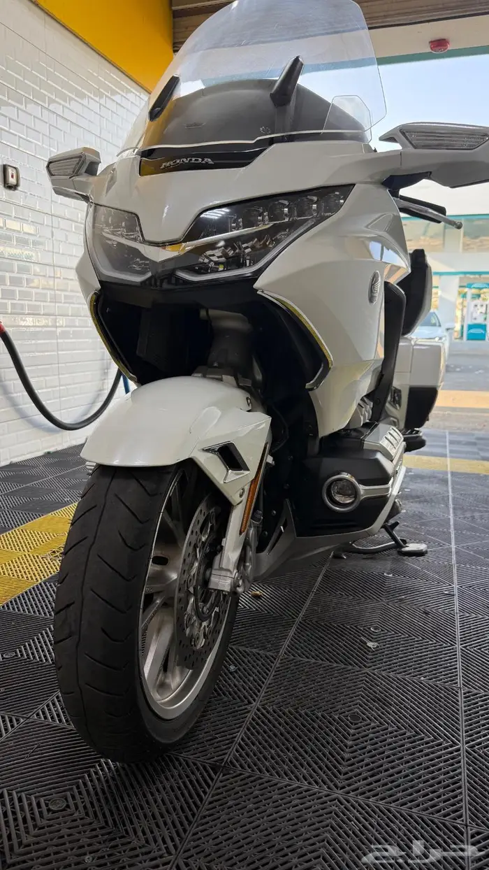 قولد وينق 2019 سعودي 21