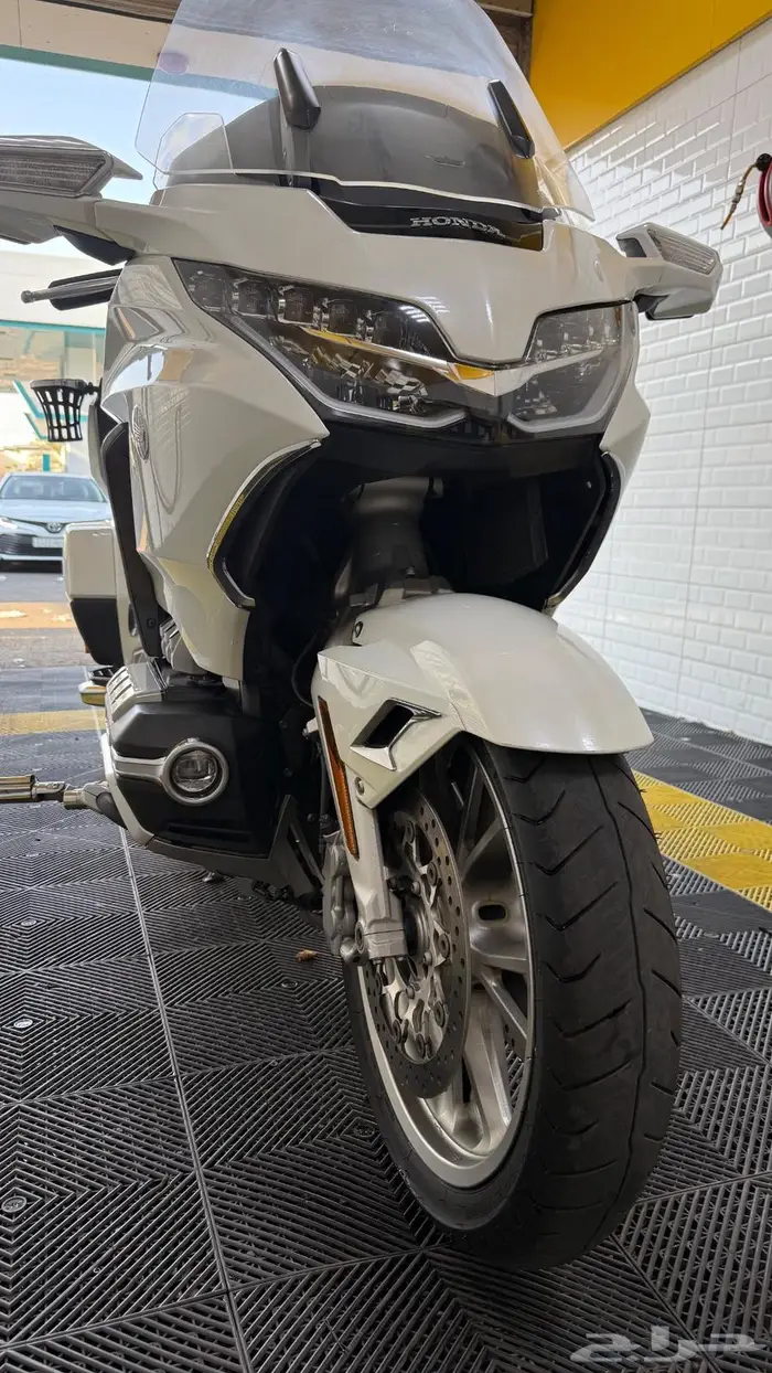 قولد وينق 2019 سعودي 18