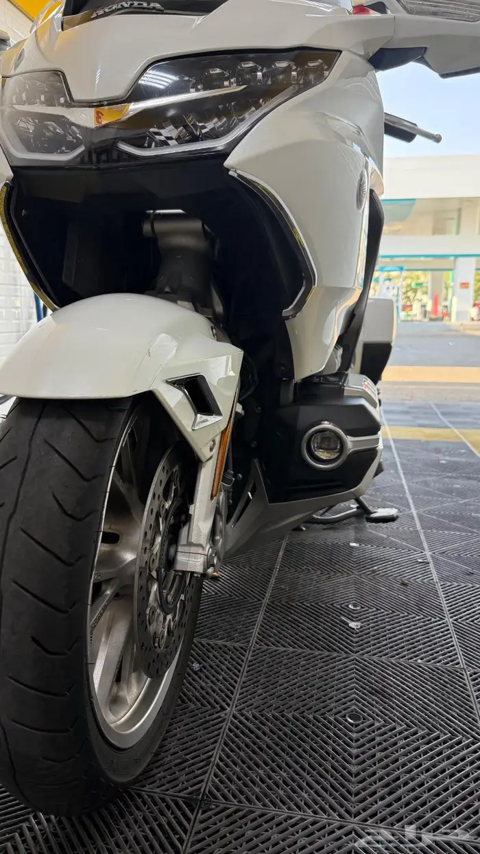 قولد وينق 2019 سعودي 11