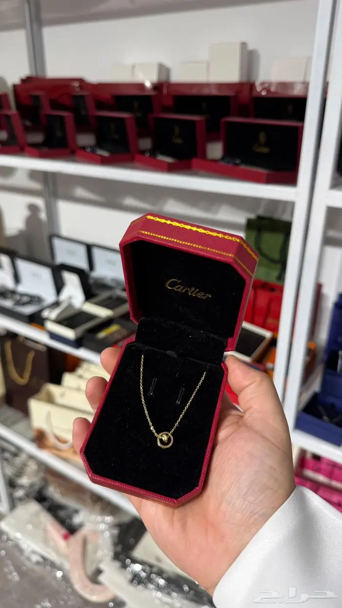 اكسورات ماركات - اقلام كارتير - ابواك ديور 18