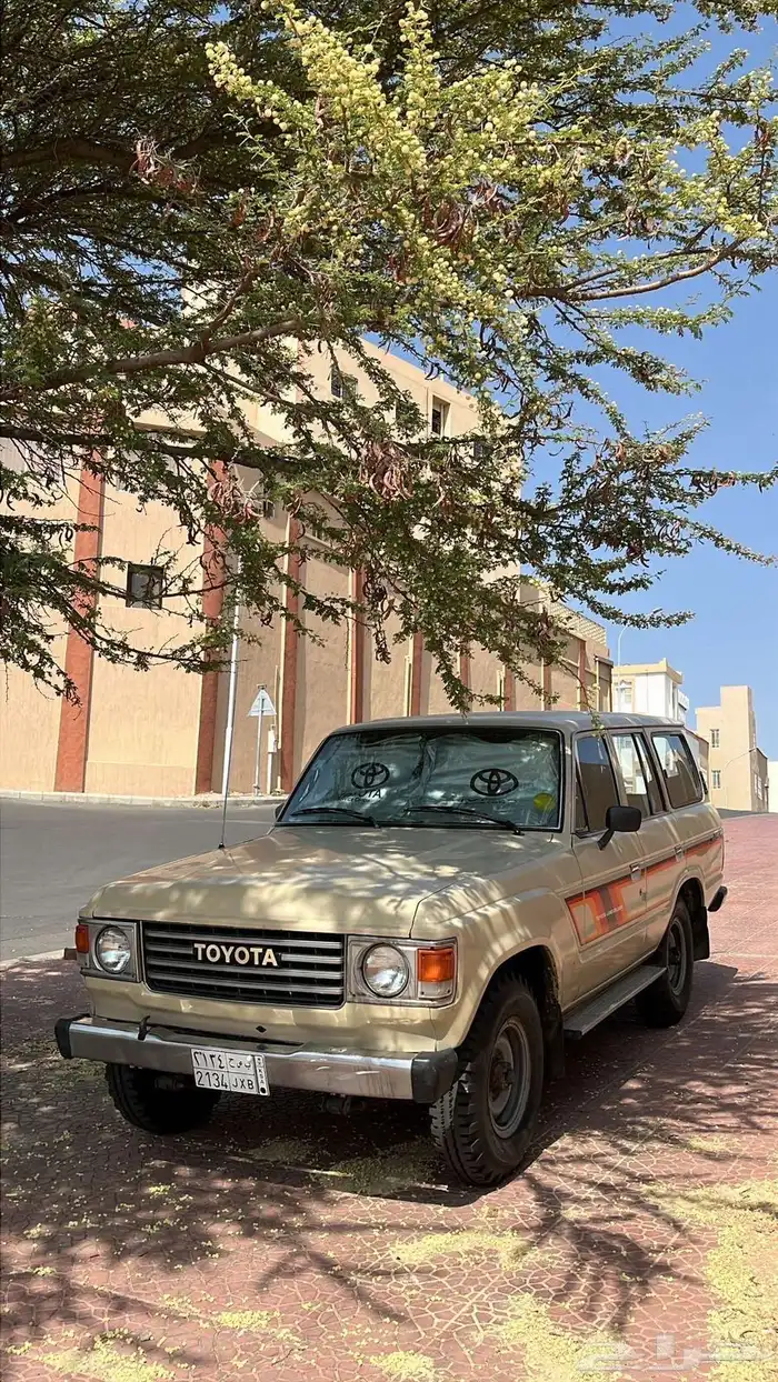 صالون 84 وكاله 10