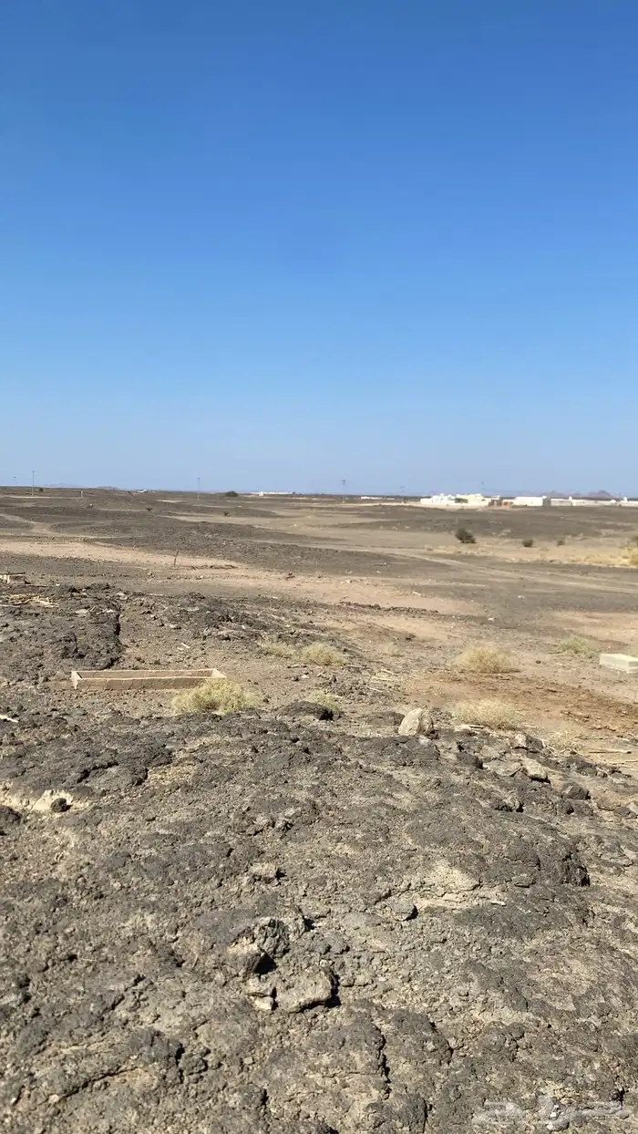 أرض زراعيه مساحة 187763م في دثير 3