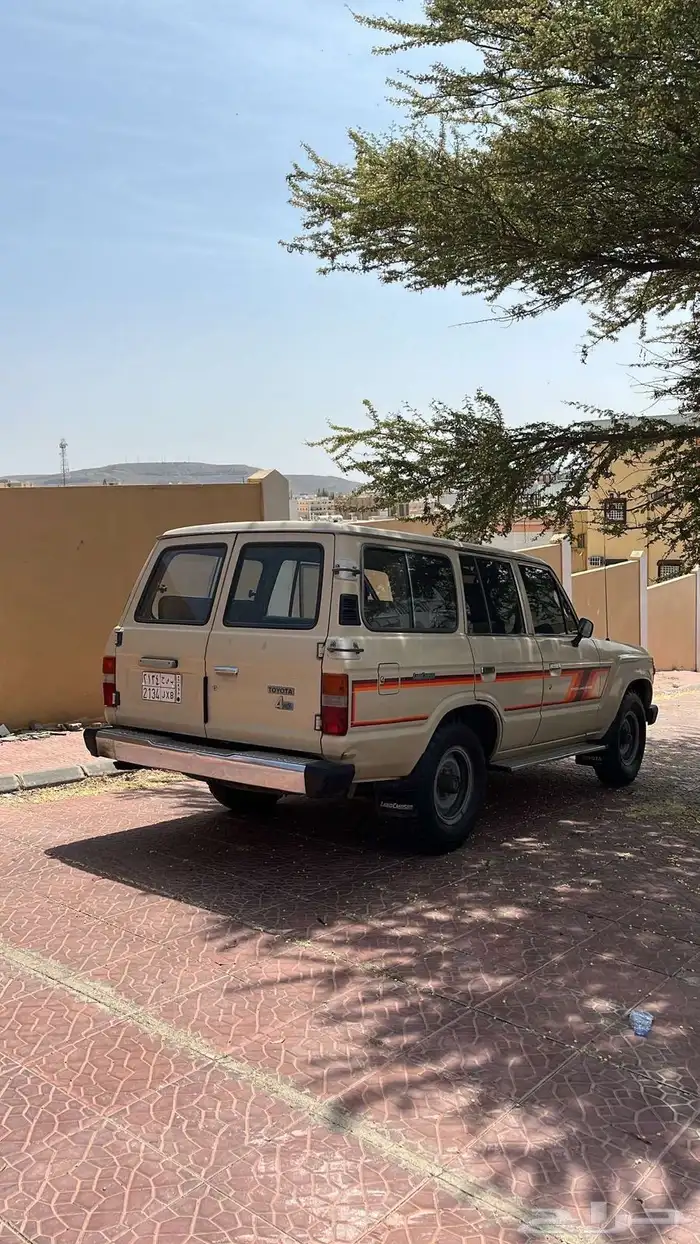 صالون 84 وكاله 15