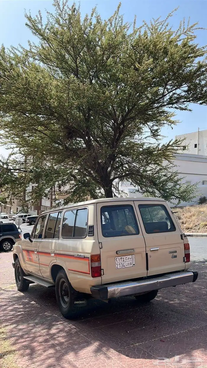 صالون 84 وكاله 4