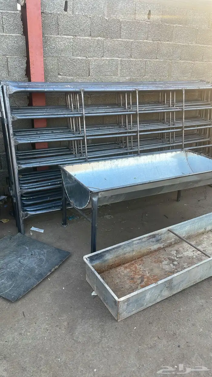 شيوك  عدد (2 ) معالف 0