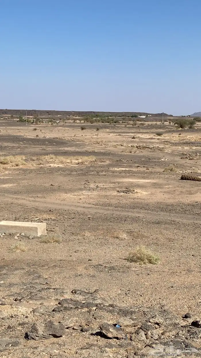 أرض زراعيه مساحة 187763م في دثير 6