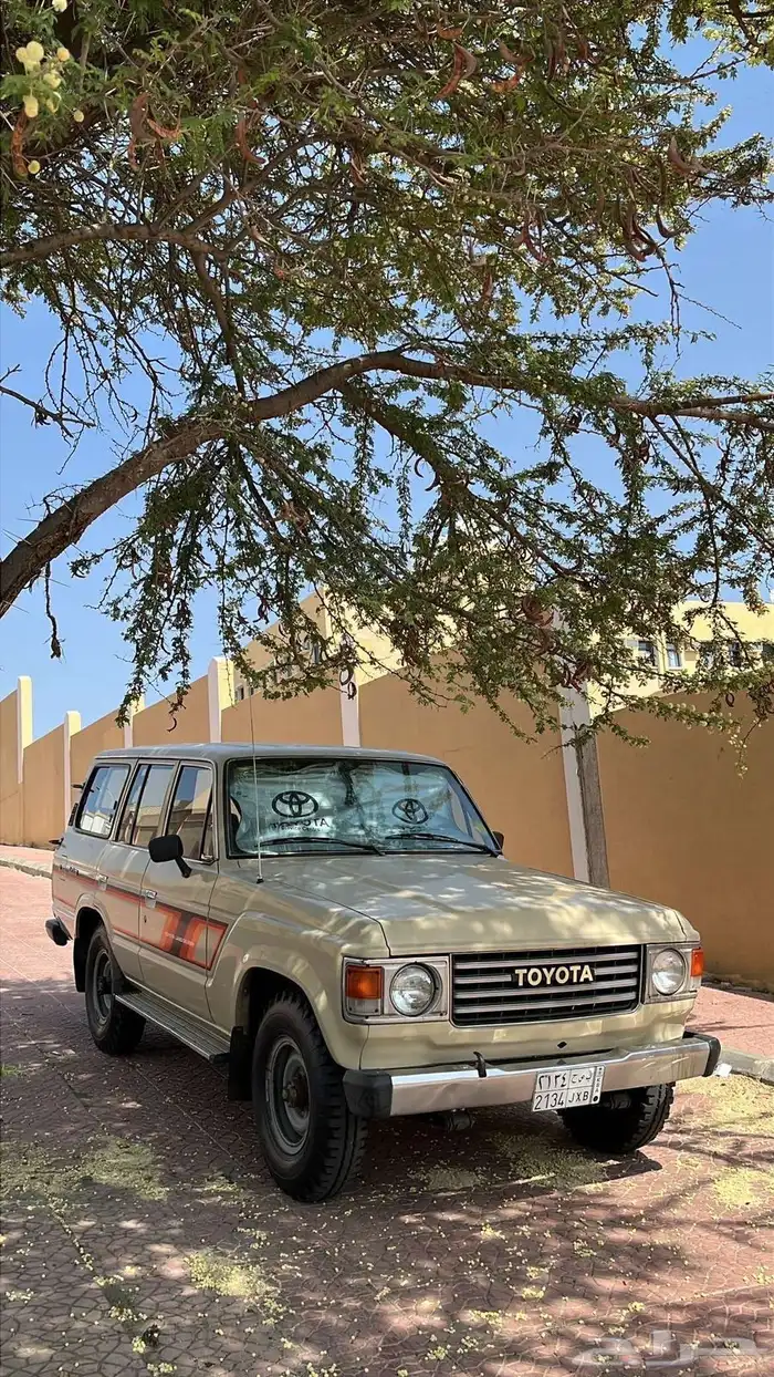 صالون 84 وكاله 5