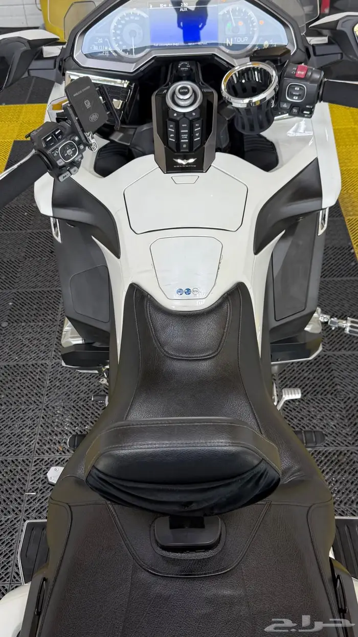 قولد وينق 2019 سعودي 2