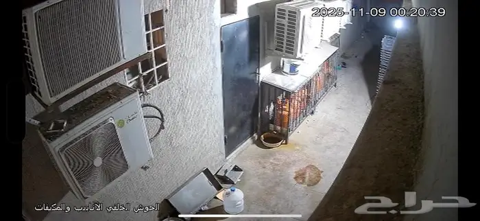 مطعم مضغوط للتقبيل 6