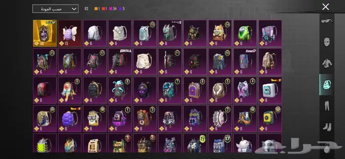 حساب بوبجي فخم سكنات 12