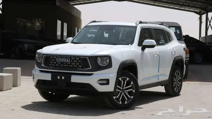 جريت وول اتش 7 مديل 2026 ابيض كاش - اقساط 2