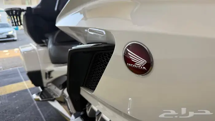 قولد وينق 2019 سعودي 17