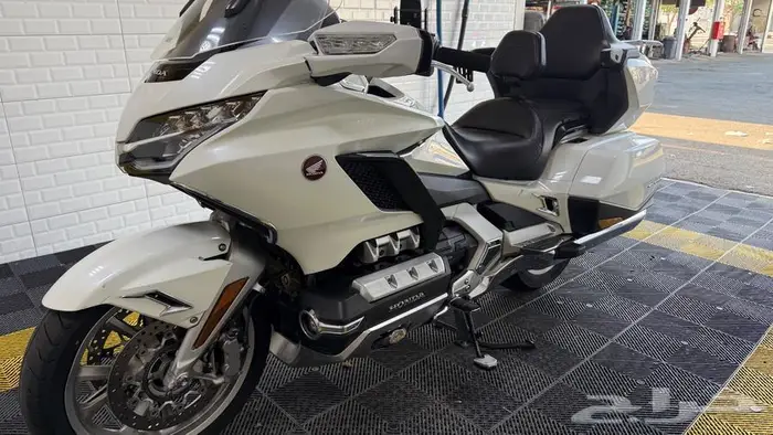 قولد وينق 2019 سعودي 10