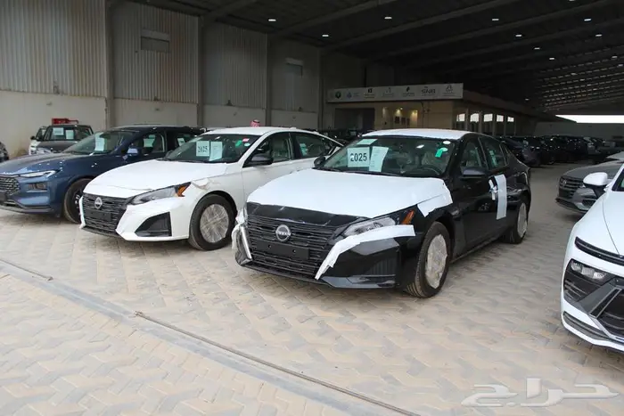 التيما استاندر اسود ابيض رصاصي 2025 3