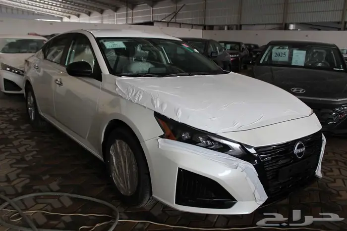 التيما استاندر اسود ابيض رصاصي 2025 5