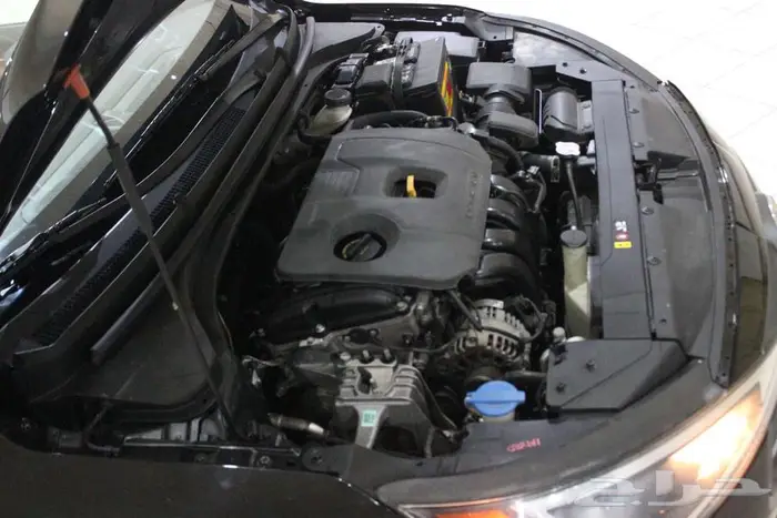 النتراء 2020 اسود بطاقة جمركية نص فل 43