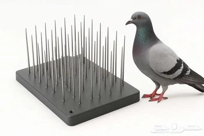 شركة مكافحه حشرات بالدمام والخبر القطيف بالظهران رش مبيدات 6