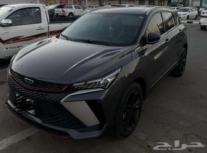 جيلي كولراي 2024 للتقبيل 6