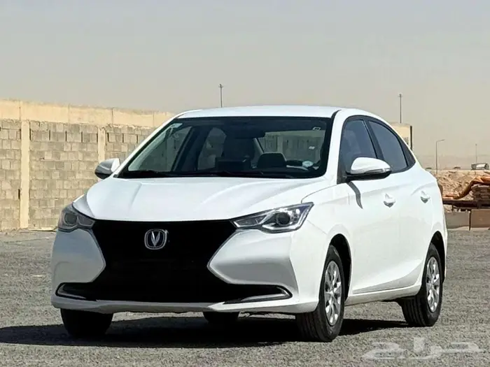 شانجان السفن 2022 1