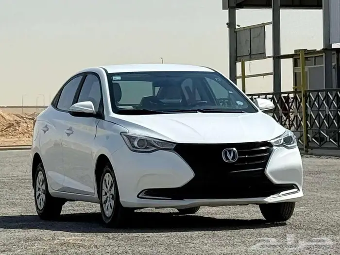 شانجان السفن 2022 9