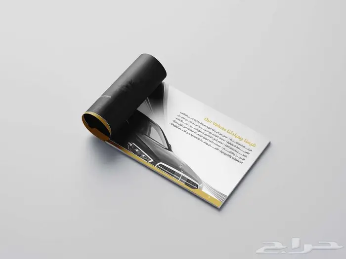 مصمم تقارير سنوية و بروفايل محترف 6