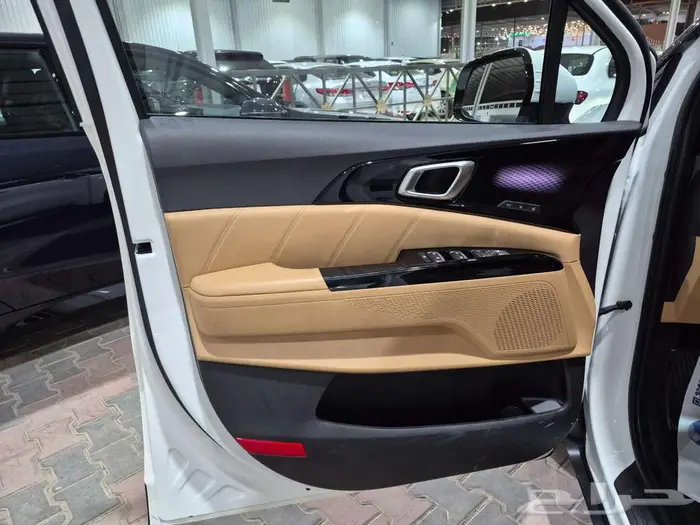 كيا كرنفال 2021 فل كامل Kia Carnival 2021 Full Option 39