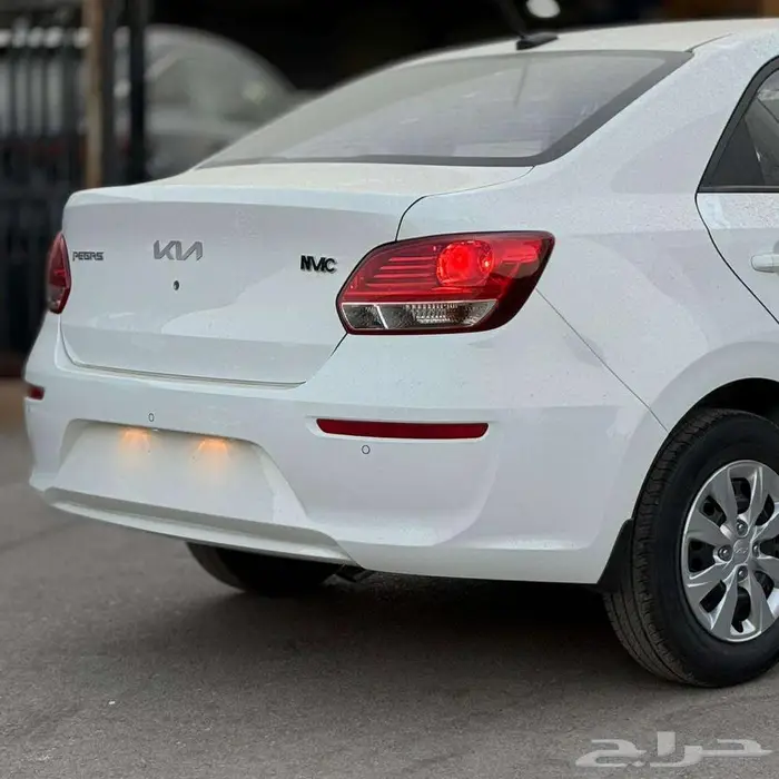 بريدة حي الجزيرة المعارض 7