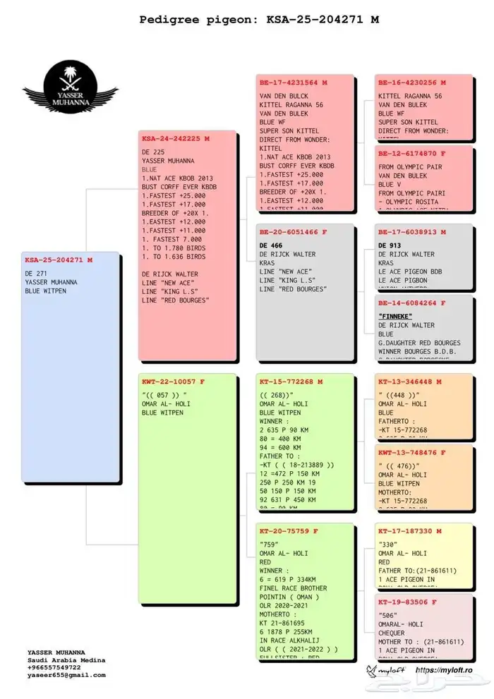 جوز زاجل سباق اهلهم خوارج 2