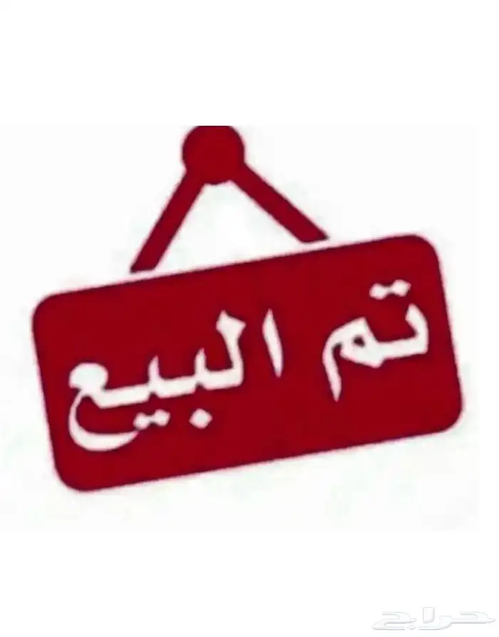 خروف حري عمره 8 شهور ورخال حريات زتم البيع خارج الموقع 1