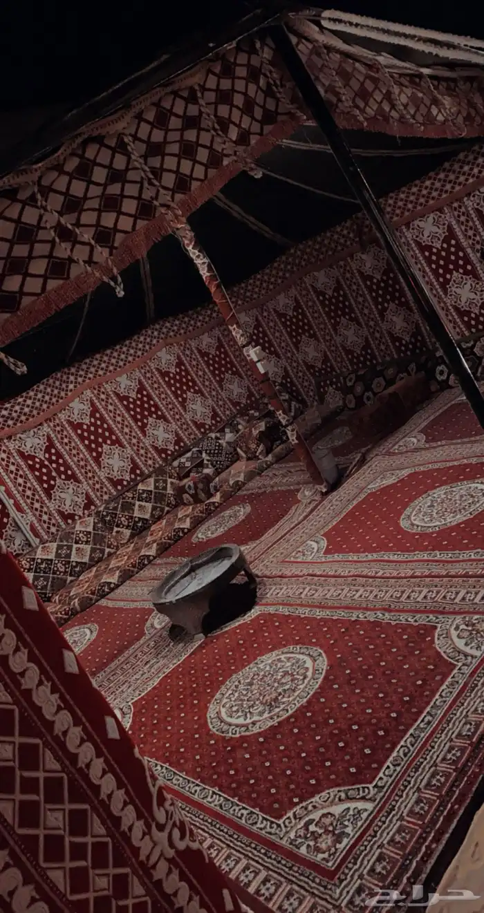 مخيم ليالي الصحراء VIP القصيم  البكيريه الخبراء 4