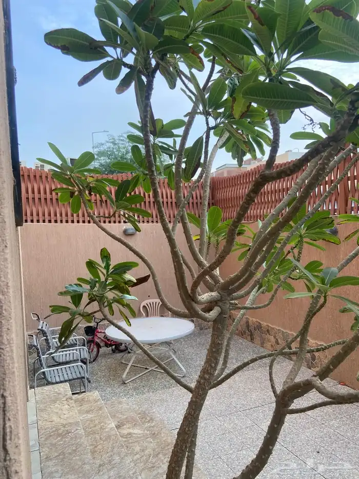 شقة للايجار 10