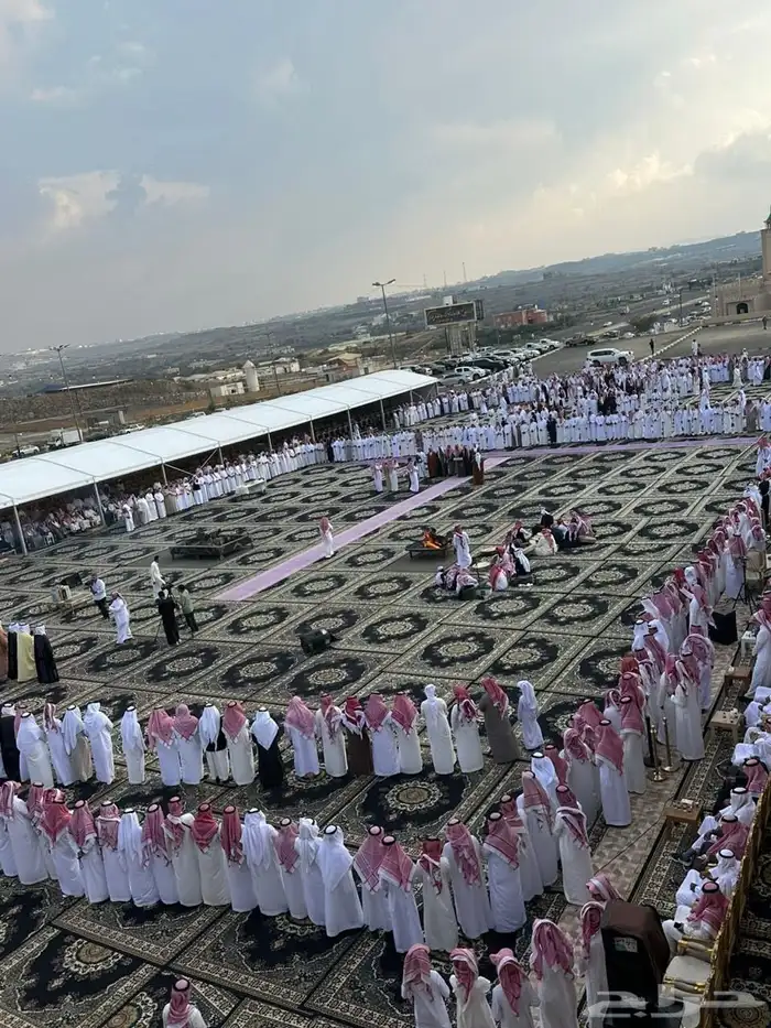 زل ملكي وكراسي 19