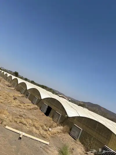 هنجر للبيع 100 ف 40 0