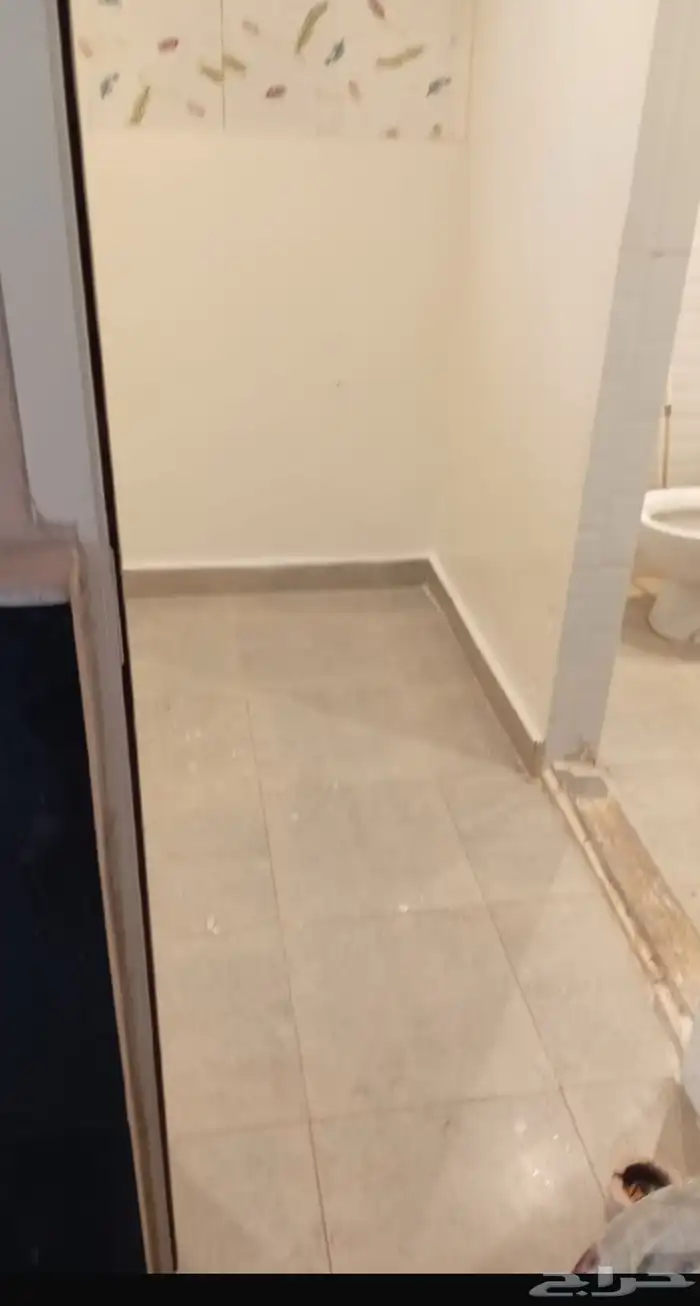 بحث  عن  موجر 0